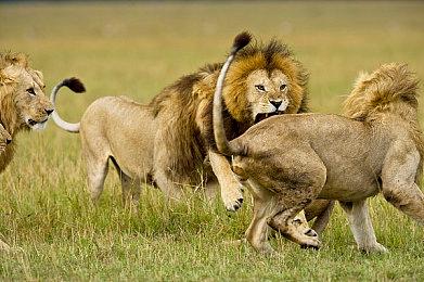 《华纳大乱斗》实机演示 汤姆、杰瑞参战