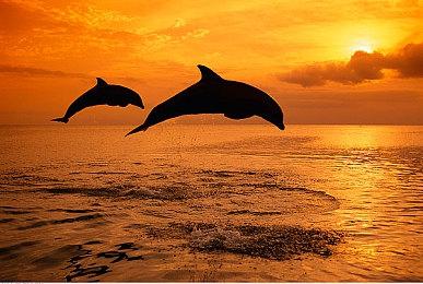 V社谈新一代Steam Deck：续航将优先改进